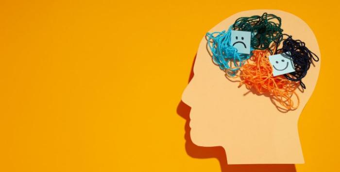 El efecto psicológico del desorden y por qué almacenar temporalmente ayuda a tomar decisiones