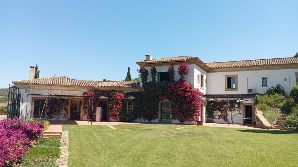Islatrans realiza la mudanza de una vivienda de más de 600 m2 en San Roque
